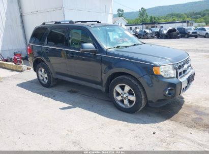 Photo FORD escape limited.