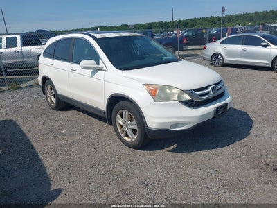 Photo HONDA cr-v ex-l.