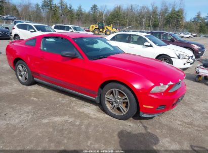 Photo FORD mustang v6/v6 premium.