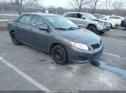 Photo TOYOTA corolla le.