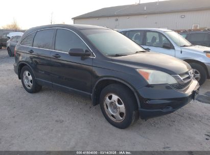 Photo HONDA cr-v lx.