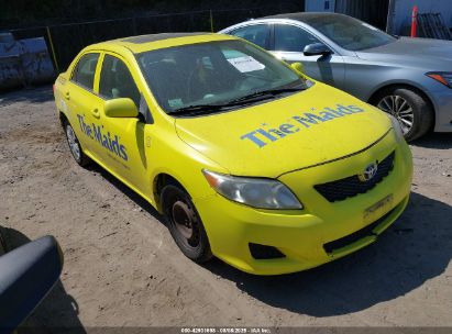 Photo TOYOTA corolla xle.