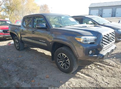 Photo TOYOTA tacoma trd sport.