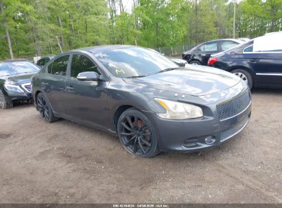 Photo NISSAN maxima 3.5 sv.