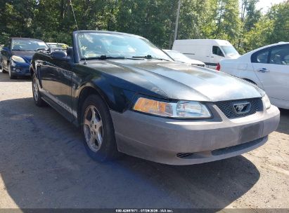 Photo FORD mustang  .