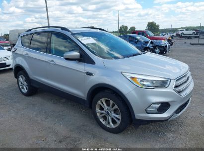 Photo FORD escape se.