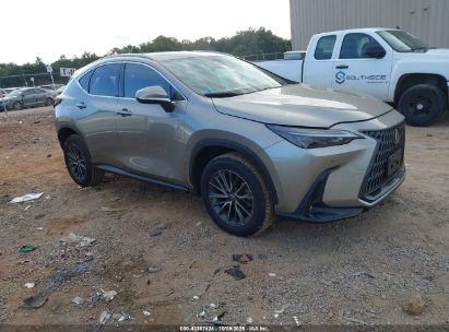 Photo LEXUS nx 350 premium.
