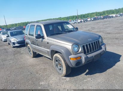 Photo JEEP liberty sport.