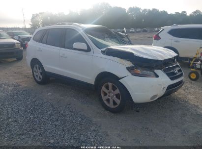 Photo HYUNDAI santa fe limited/se.