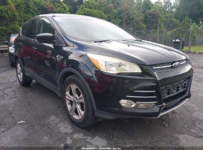 Photo FORD escape se.