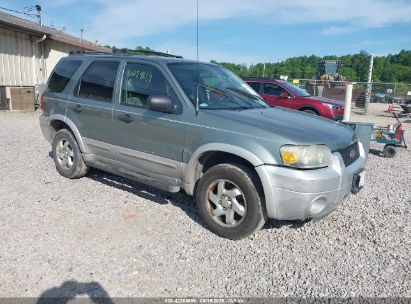 Photo FORD escape xlt/xlt sport.