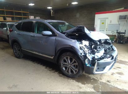 Photo HONDA cr-v awd touring.