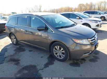 Photo HONDA odyssey ex-l.