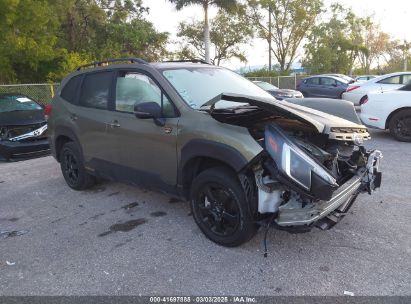 Photo SUBARU forester wilderness.