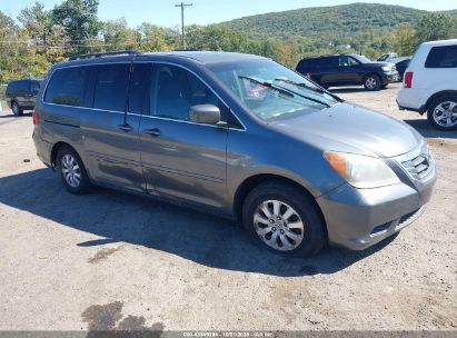 Photo HONDA odyssey ex-l.