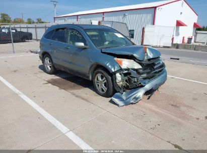 Photo HONDA cr-v ex-l.