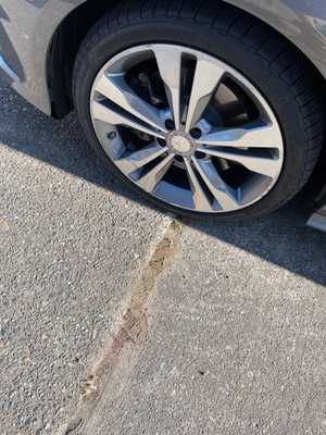 Photo Pacific Motor Co