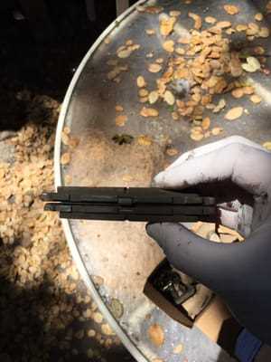 Photo Downtown Subaru of Oakland - Service