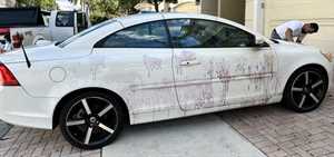 Photo Alura Services