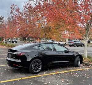 Photo Detail by Miles