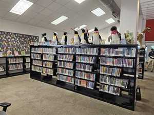 Photo Austin Public Library - Spicewood Springs