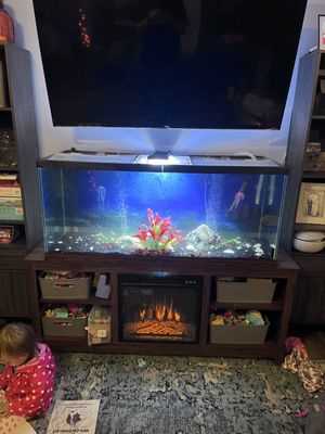 Photo Molters Services