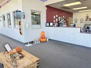 Photo Quality Auto Body