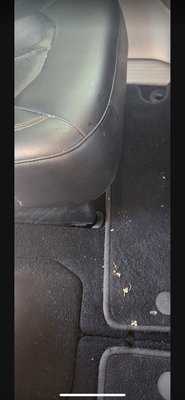 Photo Flawless Touch Auto Spa LV