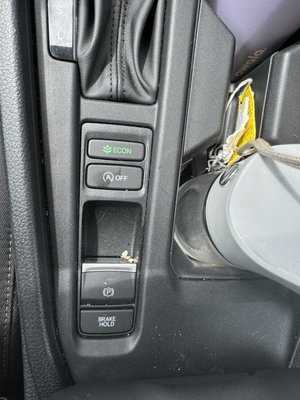 Photo Lia Honda Williamsville