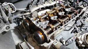 Photo Green Rider Oil Change