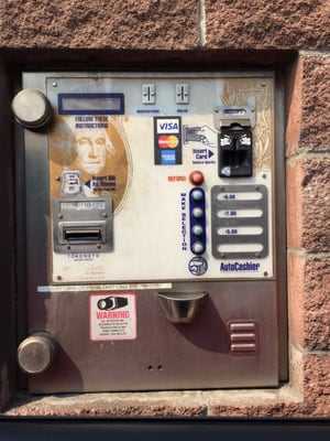 Photo Brown Bear Car Wash