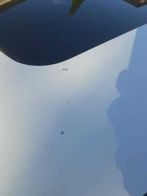 Photo Pristine Detailing