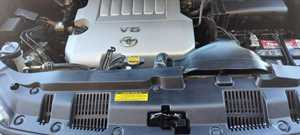 Photo Lemonheads Detail