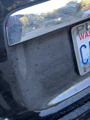 Photo Elephant Car Wash