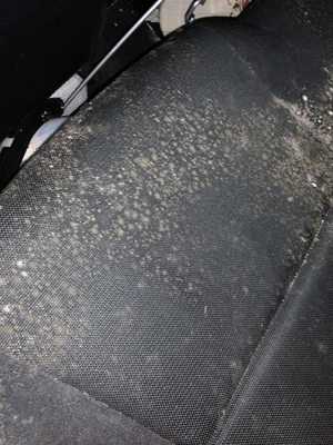 Photo Wet To Wax Mobile Detailing