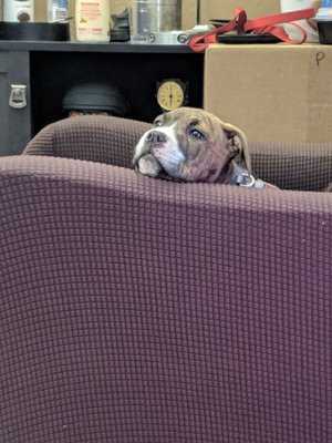 Photo JD Automotive And Performance