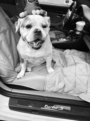 Photo Star Auto Services