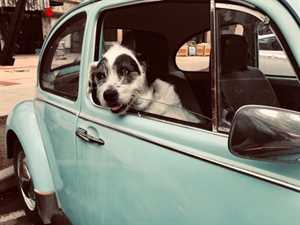 Photo Terry’s Custom Auto Works