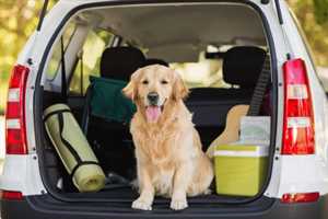 Photo Platinum Rides Detail