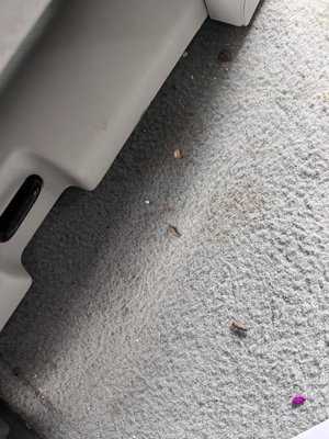 Photo Zappy’s Auto Washes