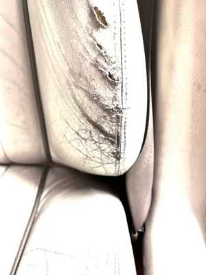 Photo Jaguar Land Rover San Francisco