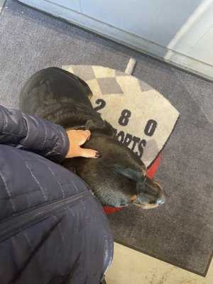 Photo 5280 Motorsports