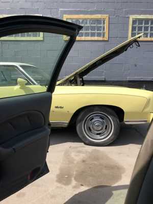 Photo Double Jays Collision