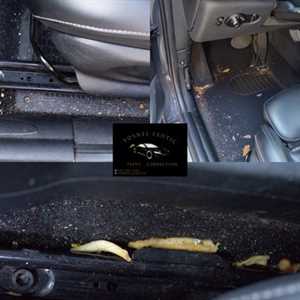 Photo Yosnel Exotic Paint Correction Car Detailing