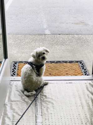 Photo Import Auto Repair