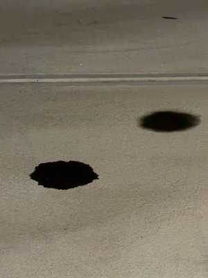 Photo Phoenix Motors