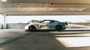 Photo Tint Avenue at San Pedro