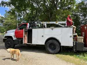 Photo T & M Towing and Recovery