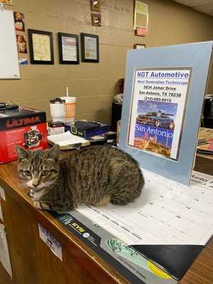 Photo NGT Automotive