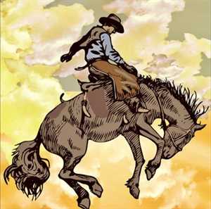 Photo Cowboy Carwash Express